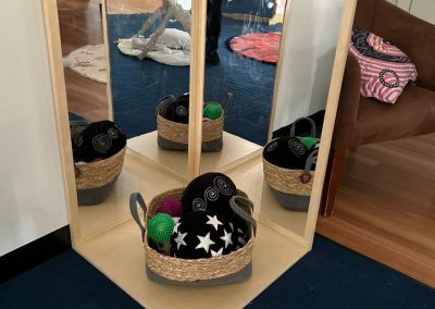 precious seeds child care hallam dress ups