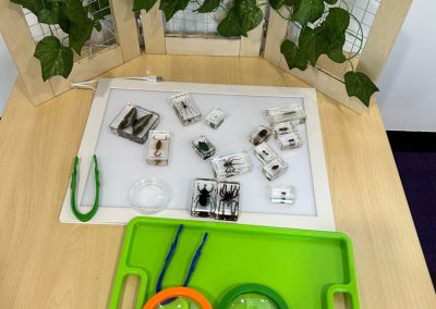 precious seeds child care hallam exploring