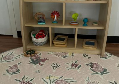 precious seeds child care hallam toys