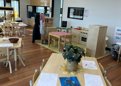 precious seeds child care hallam play room